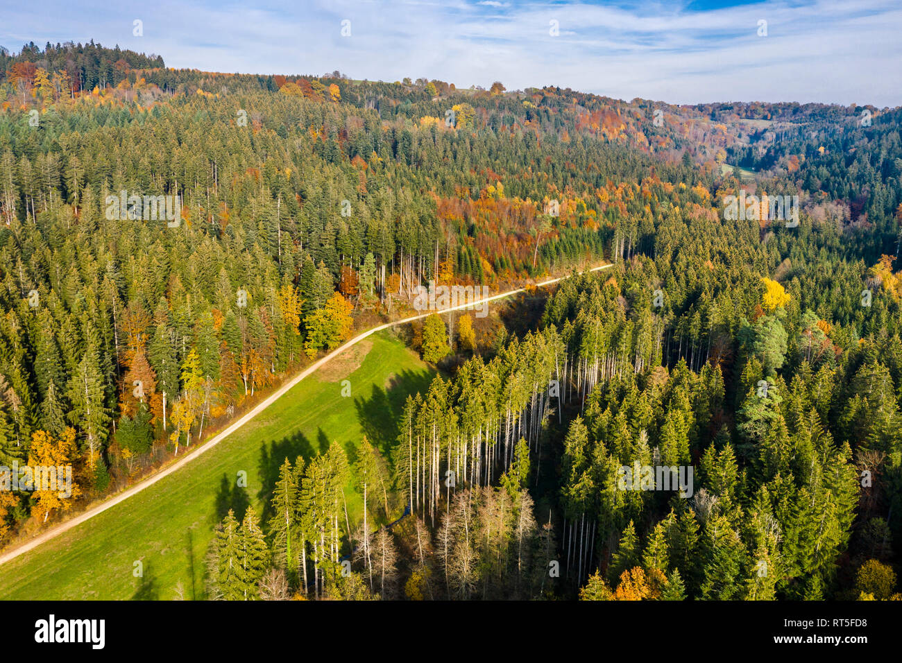 Deutschland, Baden-Württemberg, Schwäbisch Fränkischer Wald, Luftaufnahme von Wald im Herbst Stockfoto