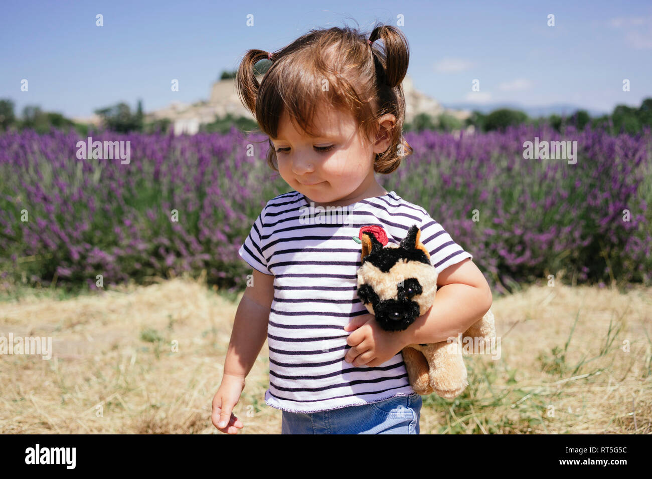 Frankreich, Grignan, Portrait eines Mädchens mit Soft Toy vor lavendelfeld Stockfoto