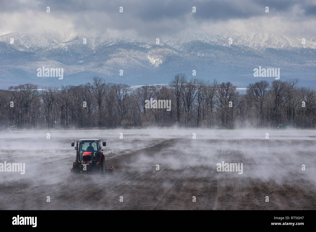 Hokkaido, Traktor seeding ein Feld während Es vaporating vom warmen Boden Stockfoto