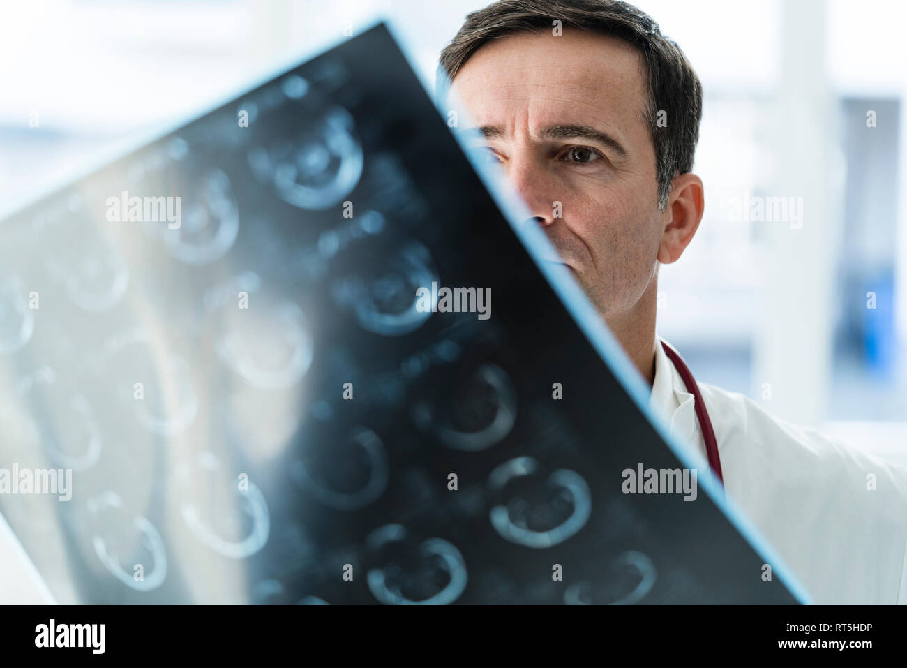 Arzt Untersuchung MRT-Bild in der medizinischen Praxis Stockfoto