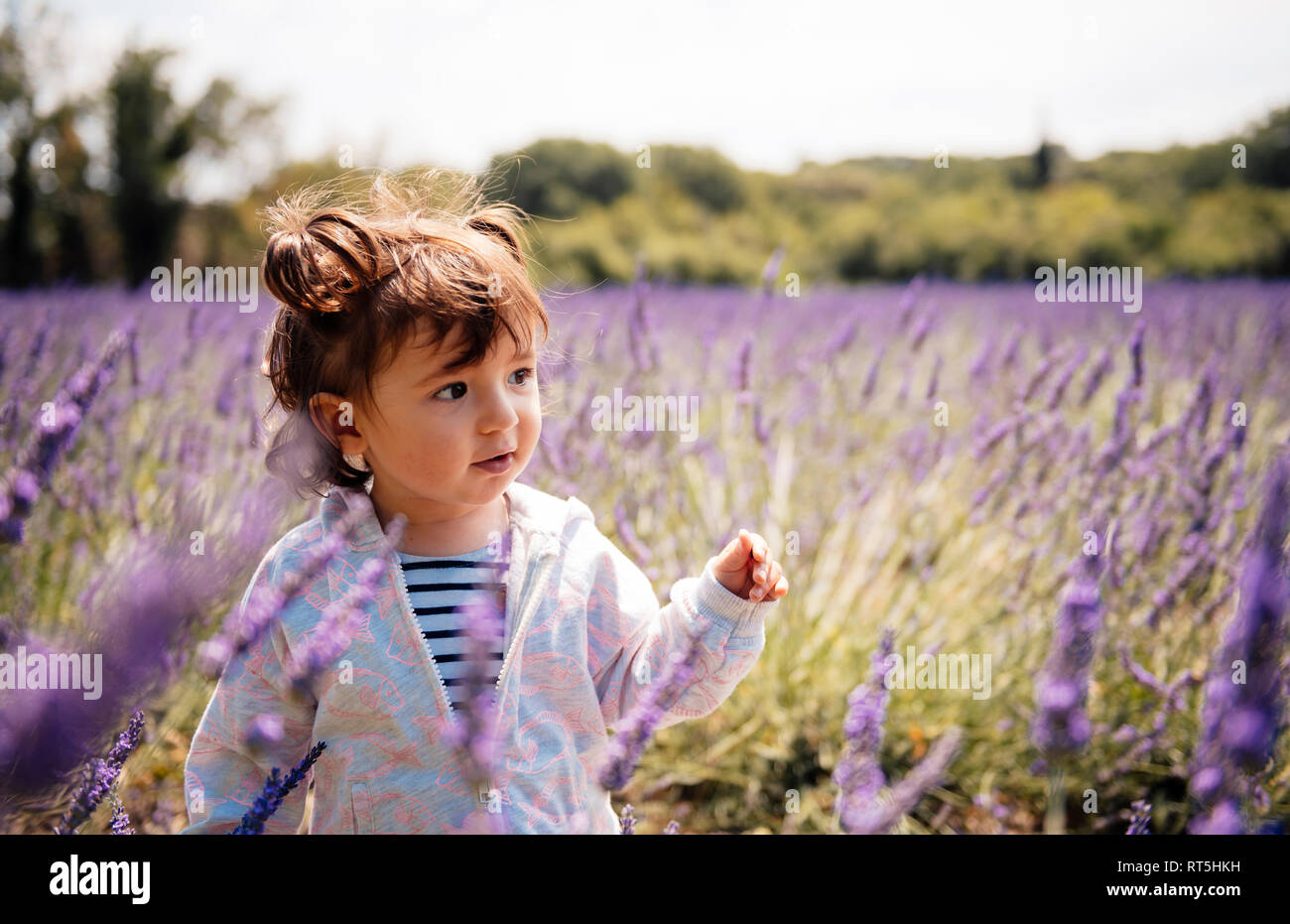 Frankreich, Grignan, Portrait von Baby Mädchen in Lavendelfeld Stockfoto