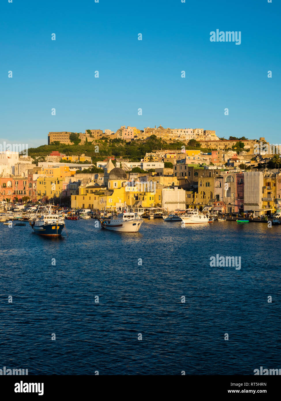 Italien, Kampanien, Neapel, Golf von Neapel Insel Procida, Stadt im Morgenlicht Stockfoto
