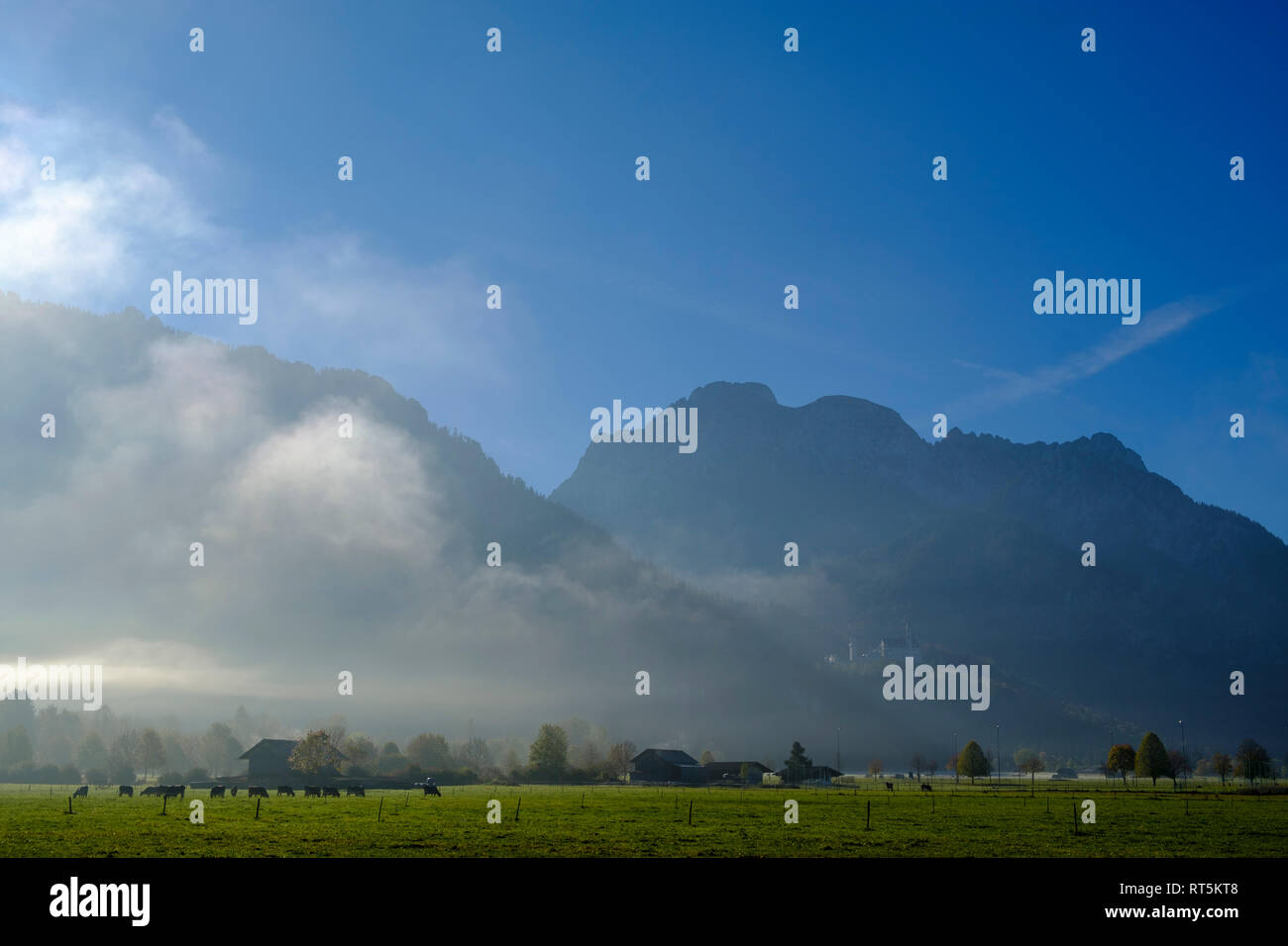 Deutschland, Bayern, Schwaben, Ostallgäu, in der Nähe von Schwangau Stockfoto