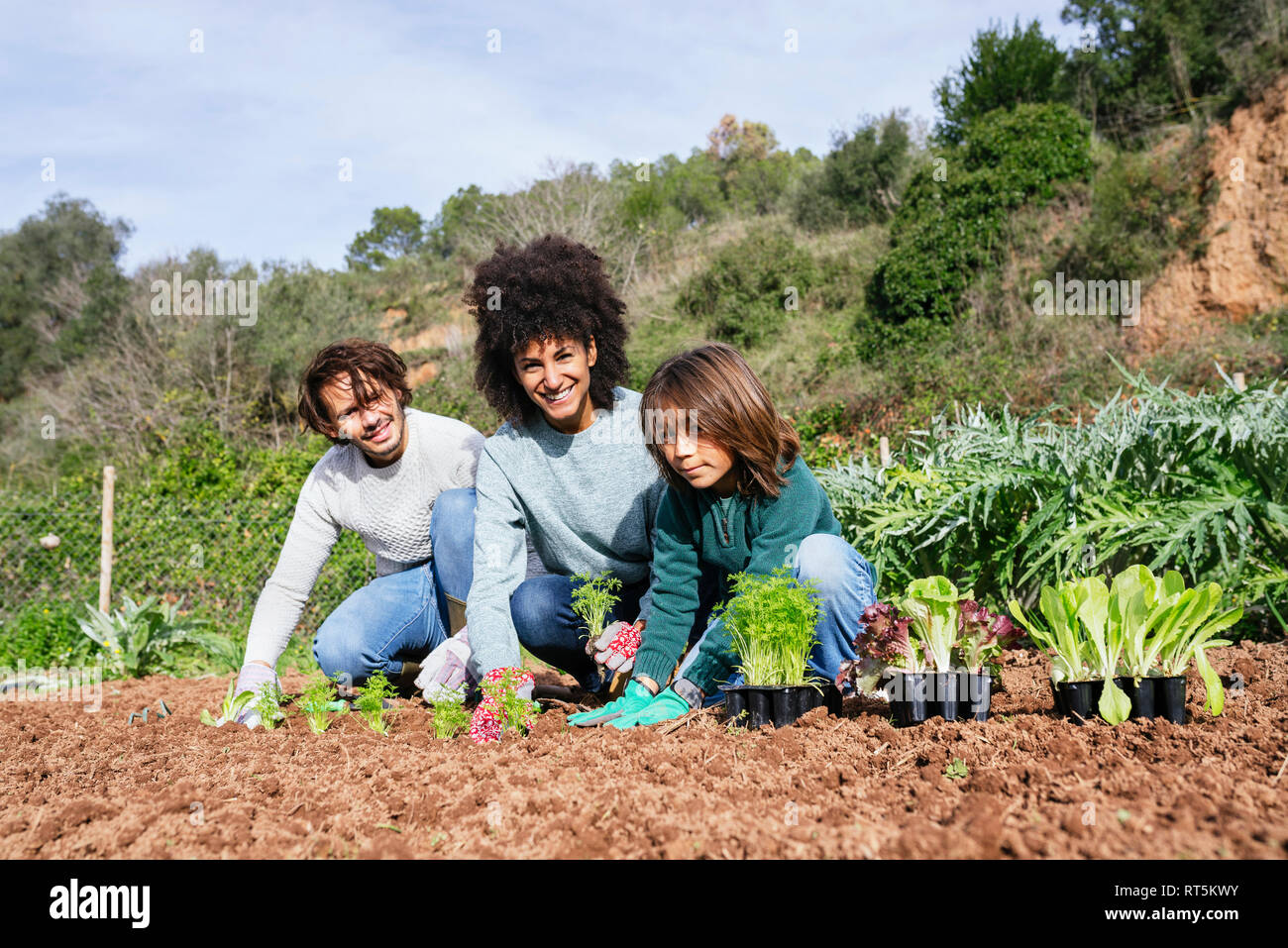 Familie einpflanzen und Salatpflänzlinge im Gemüsegarten Stockfoto