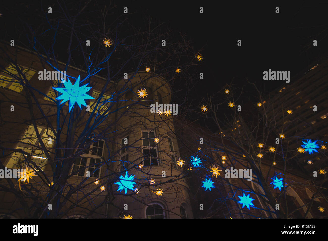 Deutschland, Berlin, Weihnachtsdekoration, Herrnhuter Sterne hängen in den Bäumen Stockfoto