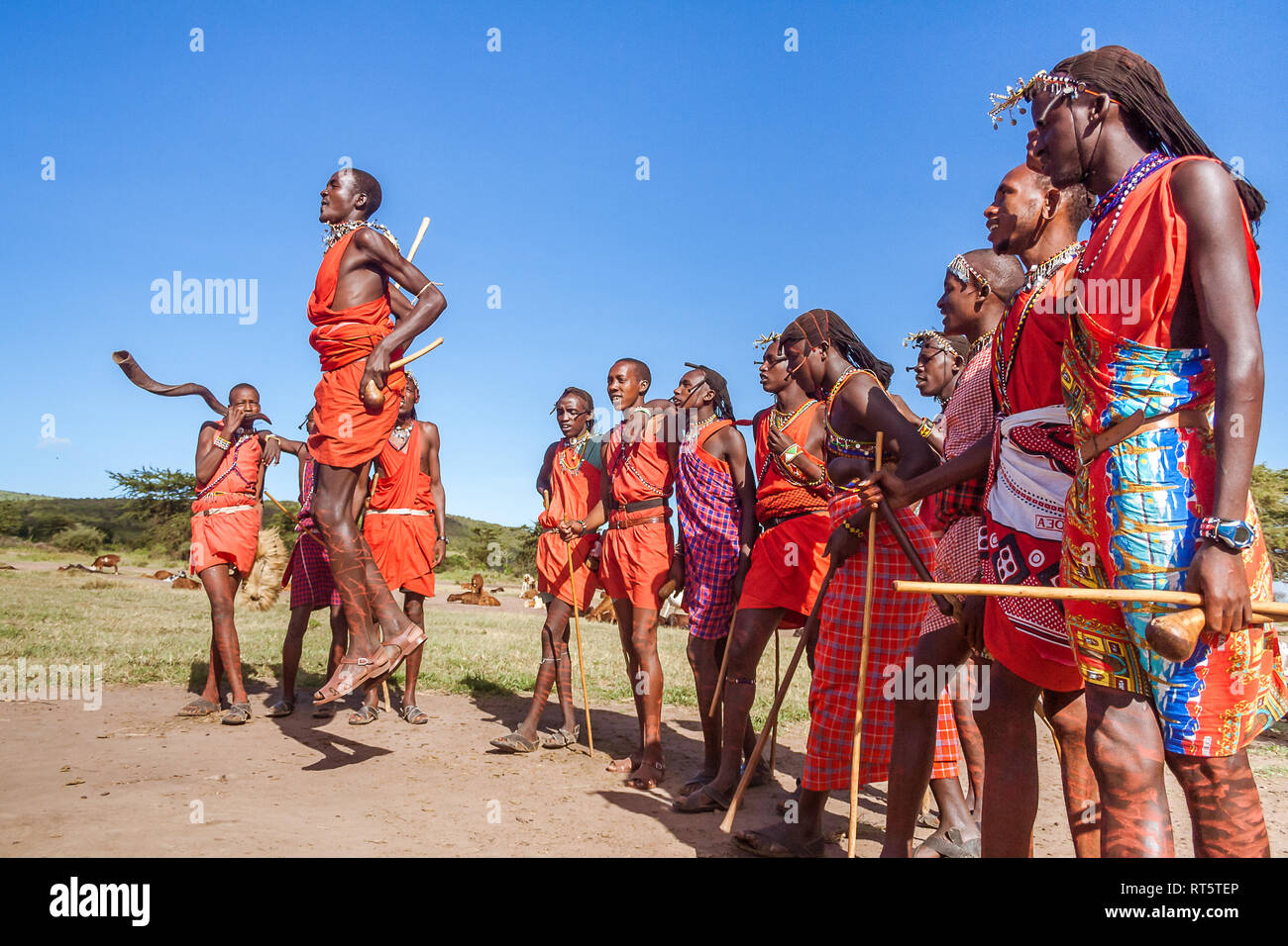 Die Masai Mara, Kenia, 23. Mai 2017: Masai Krieger in der traditionellen Tracht während eines Rituals springen. Stockfoto