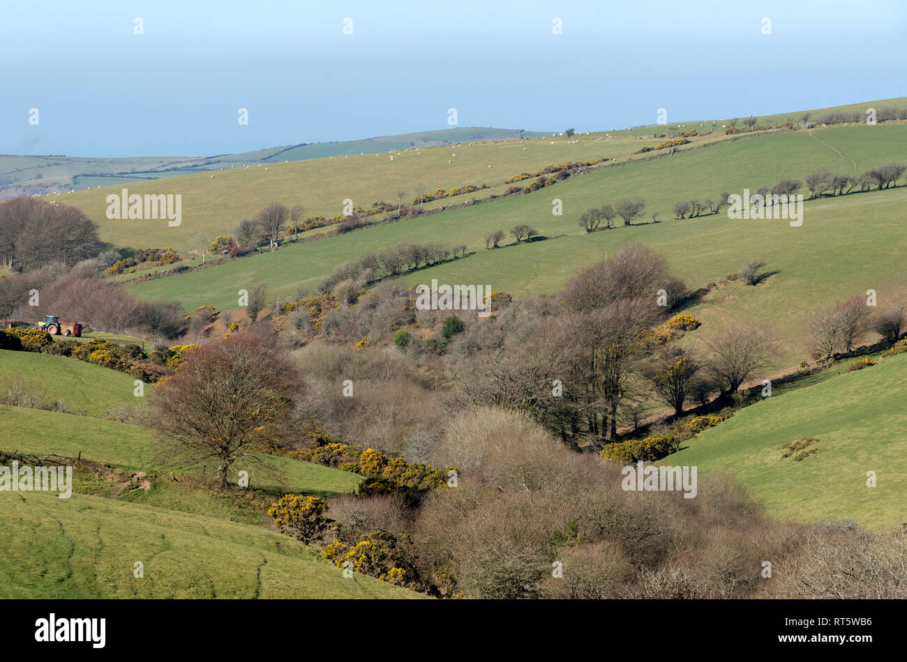 Parracombe, Devon, England, Großbritannien, Februar 2019. Eine Ansicht der Heddon Tal auf Exmoor Stockfoto