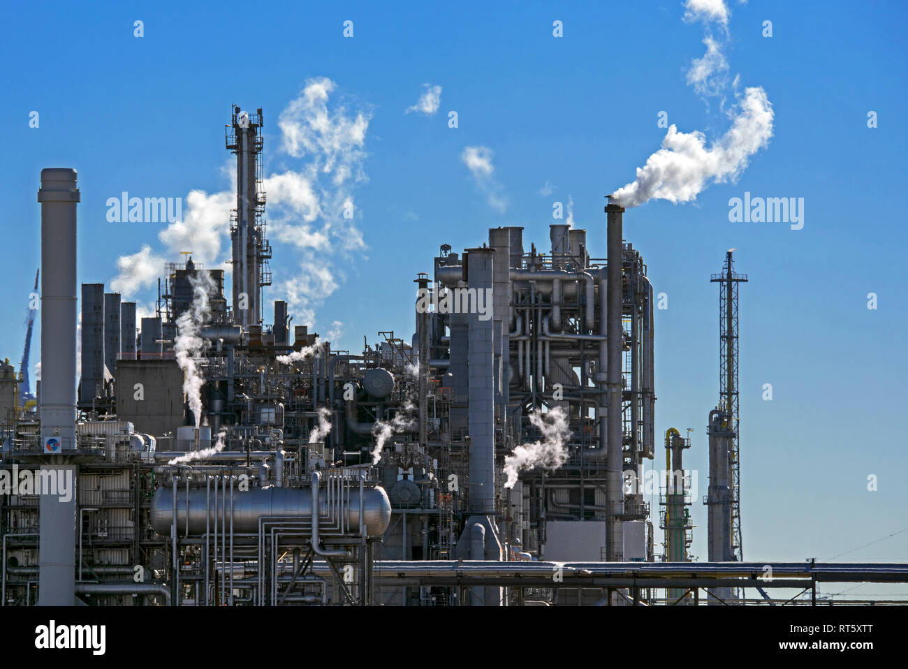 Industrial Estate zeigt die BASF die chemische Produktion Standort im Hafen von Antwerpen, Belgien Stockfoto