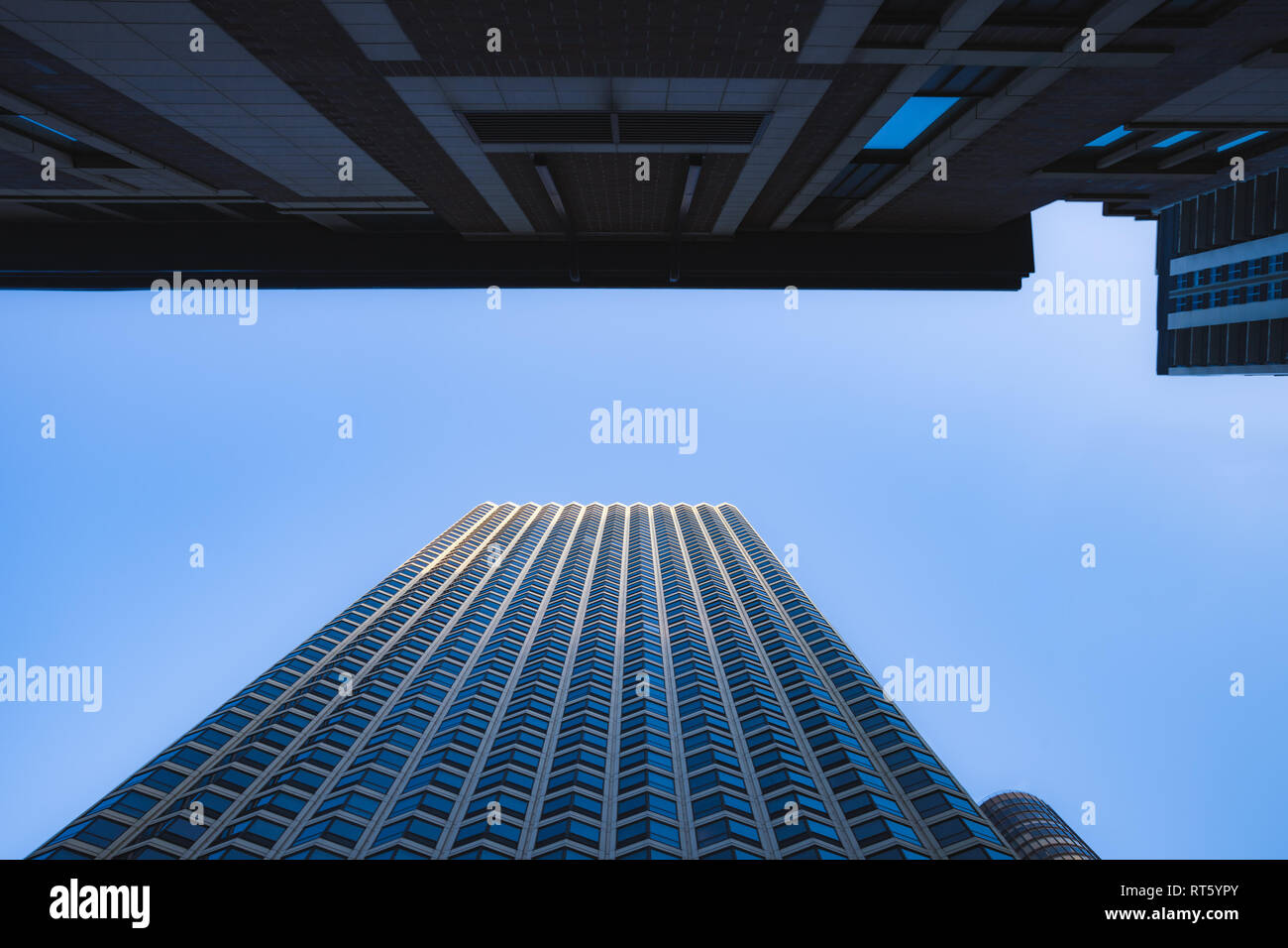 Hohe Winkel von hohen Gebäuden, perspektivische Ansicht mit konvergierenden Linien Stockfoto