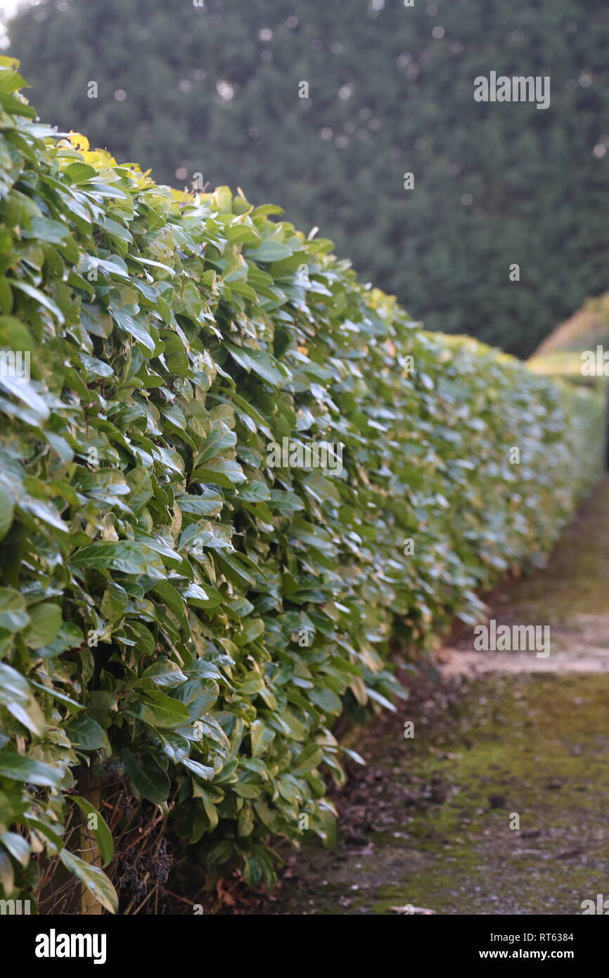 Blick von der kleinen Business Units im Land Stockfoto