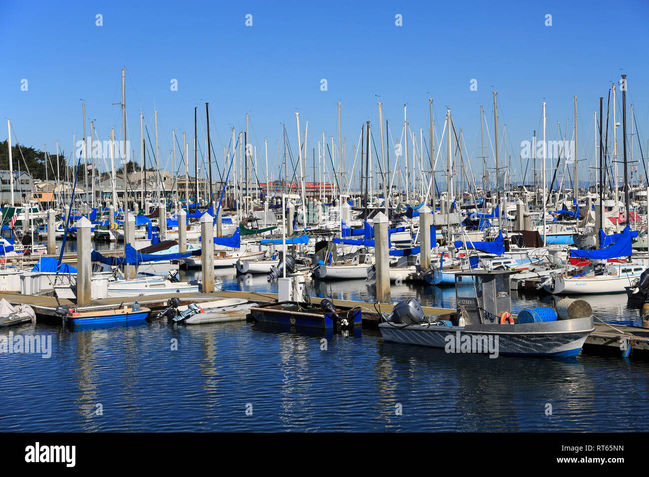Marina, Monterey, Monterey Bay, Halbinsel, Pazifischer Ozean, Kalifornien, USA Stockfoto