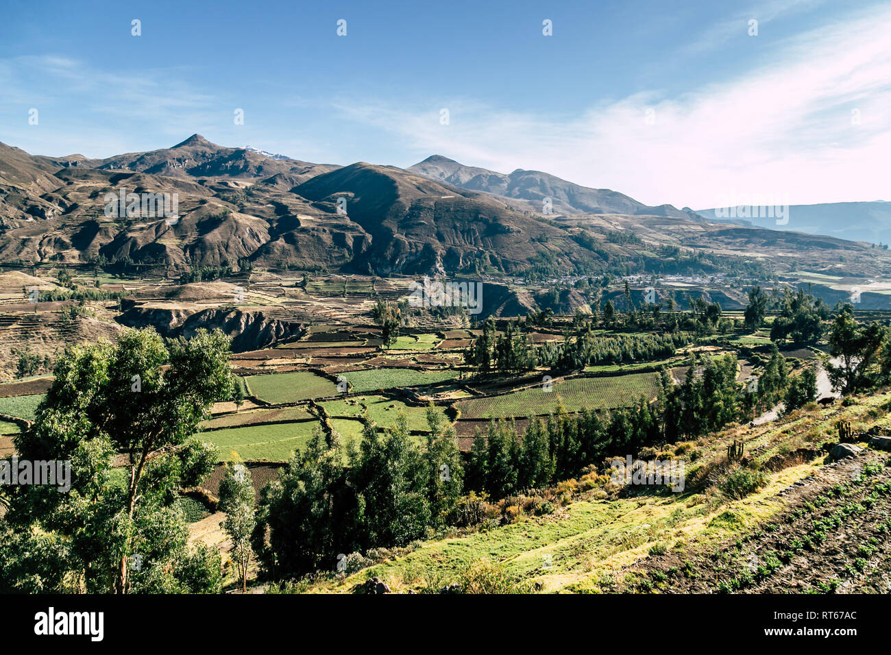 Schöne Aussicht mit landwirtschaftlichen Terrassen in der Sonne im Valle de Colca (Colca Canyon), der Süden Perus. Stockfoto