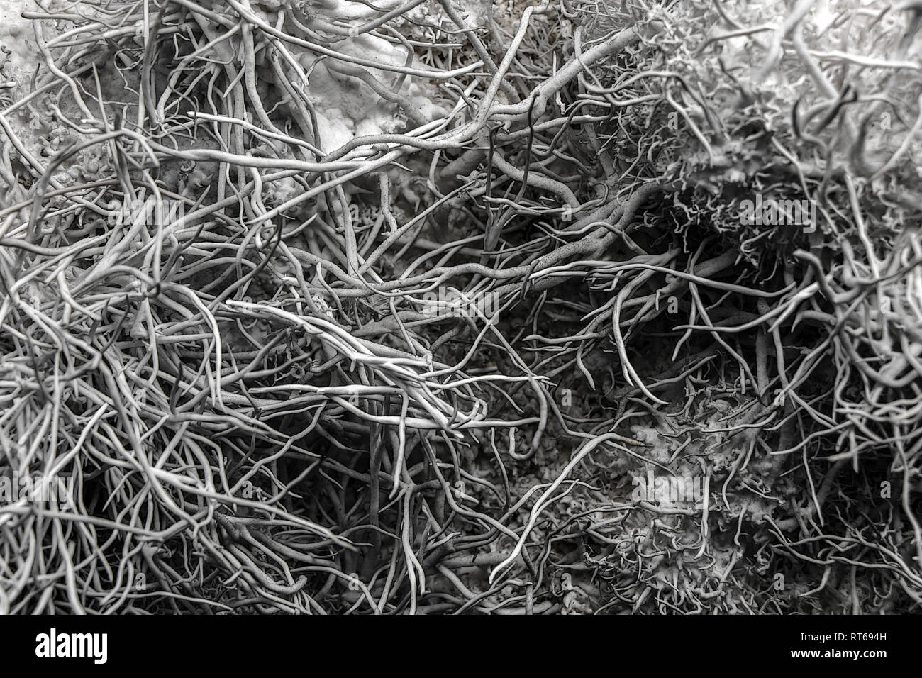 Weiß Aragonit mit vielen Threads, in der Nähe Stockfoto