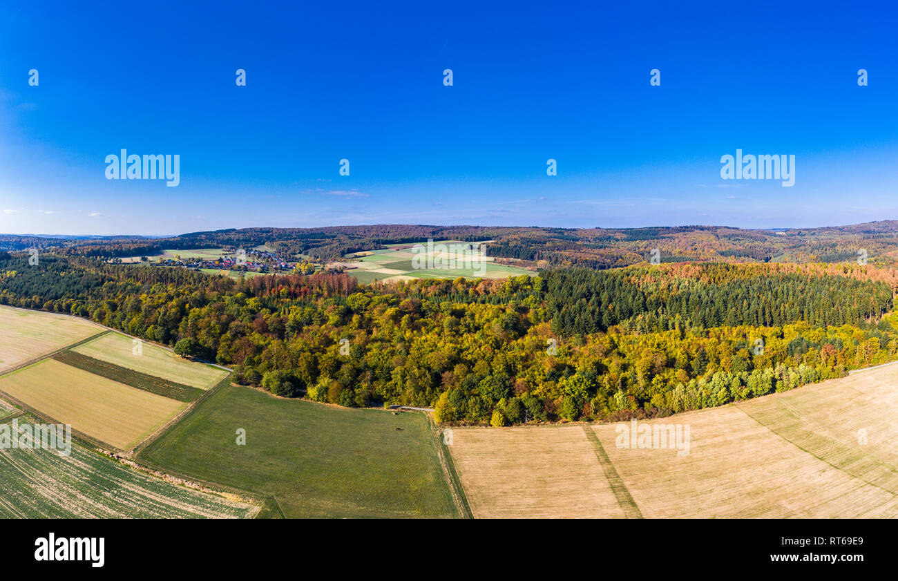 Deutschland, Hessen, Hochtaunuskreis, Luftaufnahme von Wald und Feldern im Herbst Stockfoto