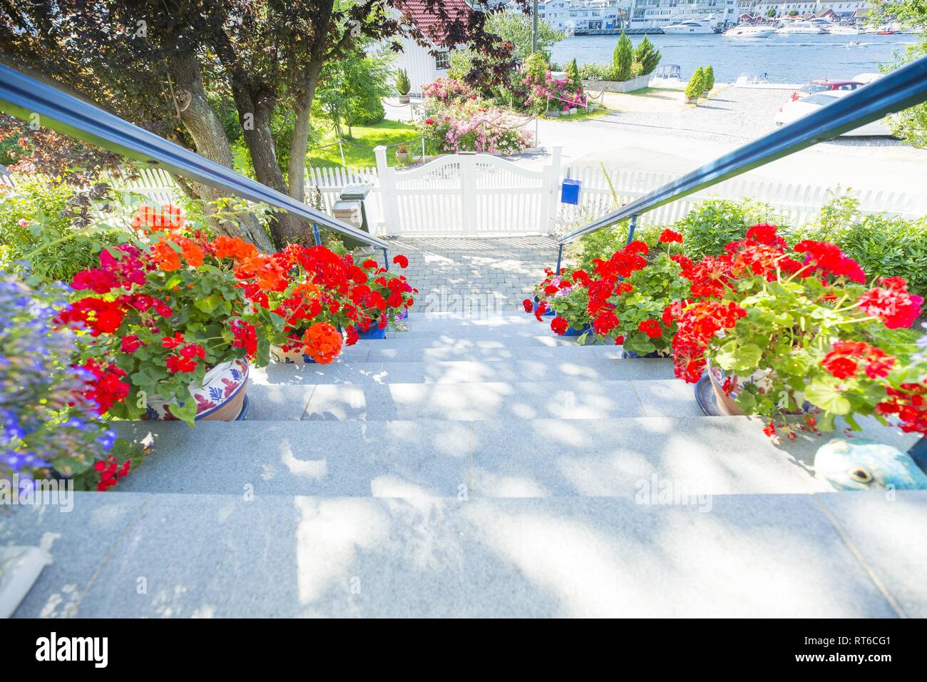 Garten Tor im Sommer Stockfoto