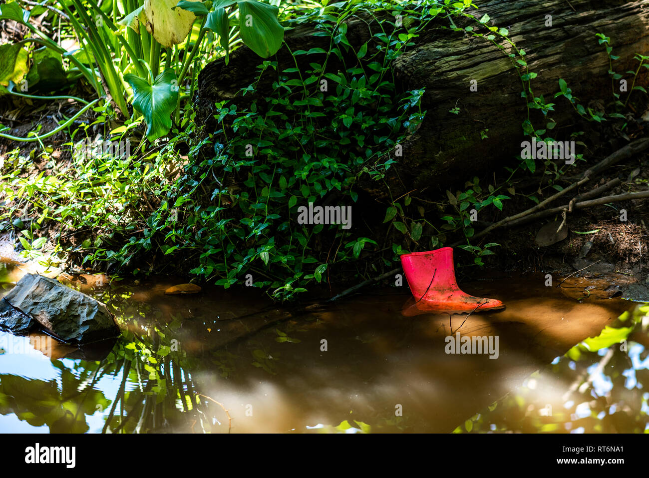 Eine verlorene Gummimanschette liegt am Ufer eines Baches. Stockfoto