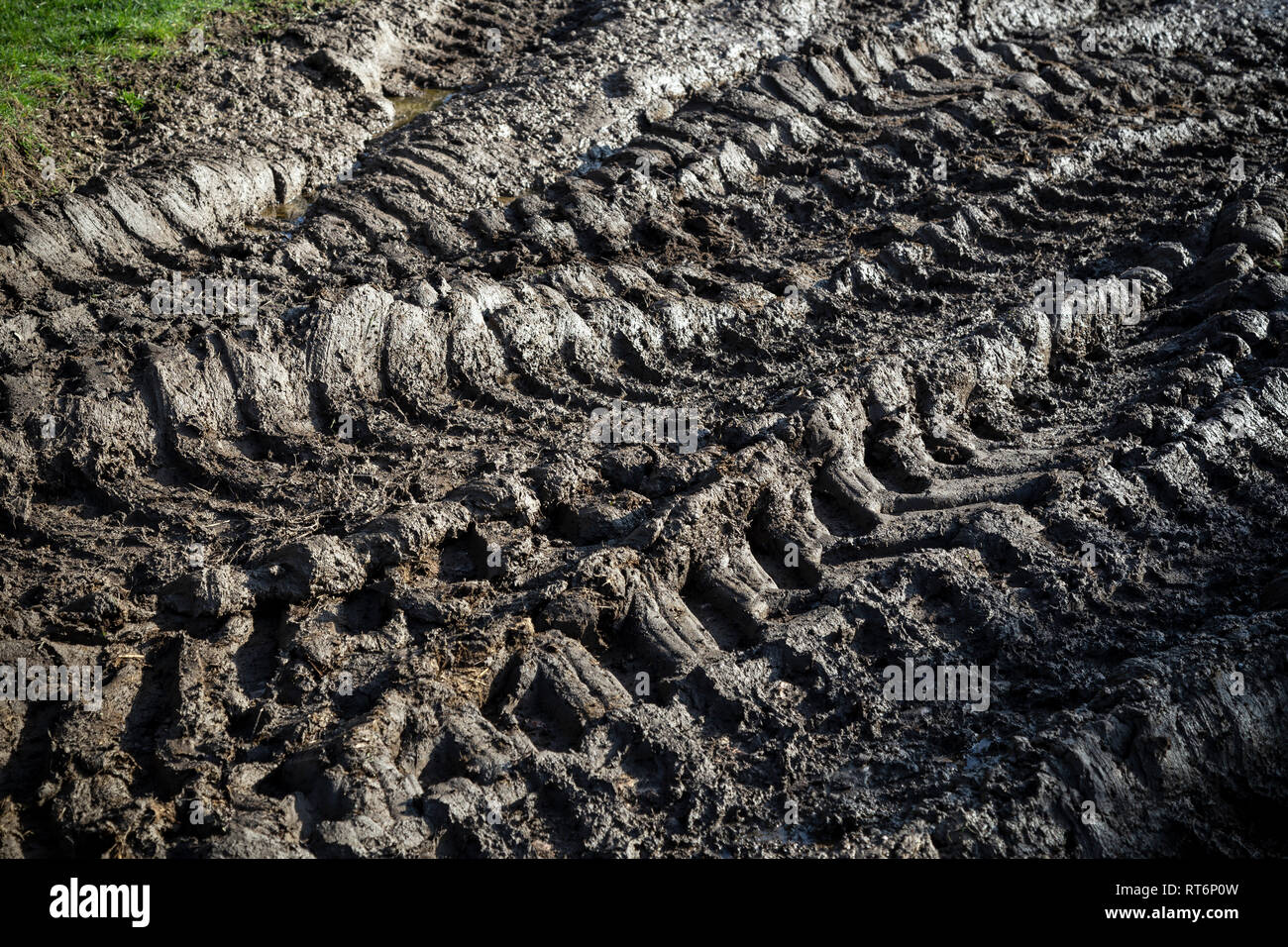 Schlamm Traktor, Bauernhof, grüne Farbe, Irland, Landwirtschaft, Landwirtschaft, Landmaschinen, Landwirtschaft, Landwirtschaftliche Maschinen, Landw Stockfoto