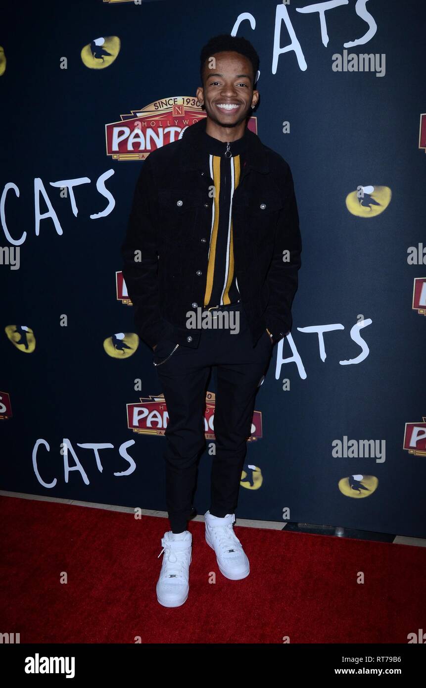 Los Angeles, CA, USA. 27 Feb, 2019. Coy Stewart in der Ankunftshalle für Katzen spielen zur Eröffnung, das Pantages Theatre, Los Angeles, CA Februar 27., 2019. Credit: Priscilla Grant/Everett Collection/Alamy leben Nachrichten Stockfoto