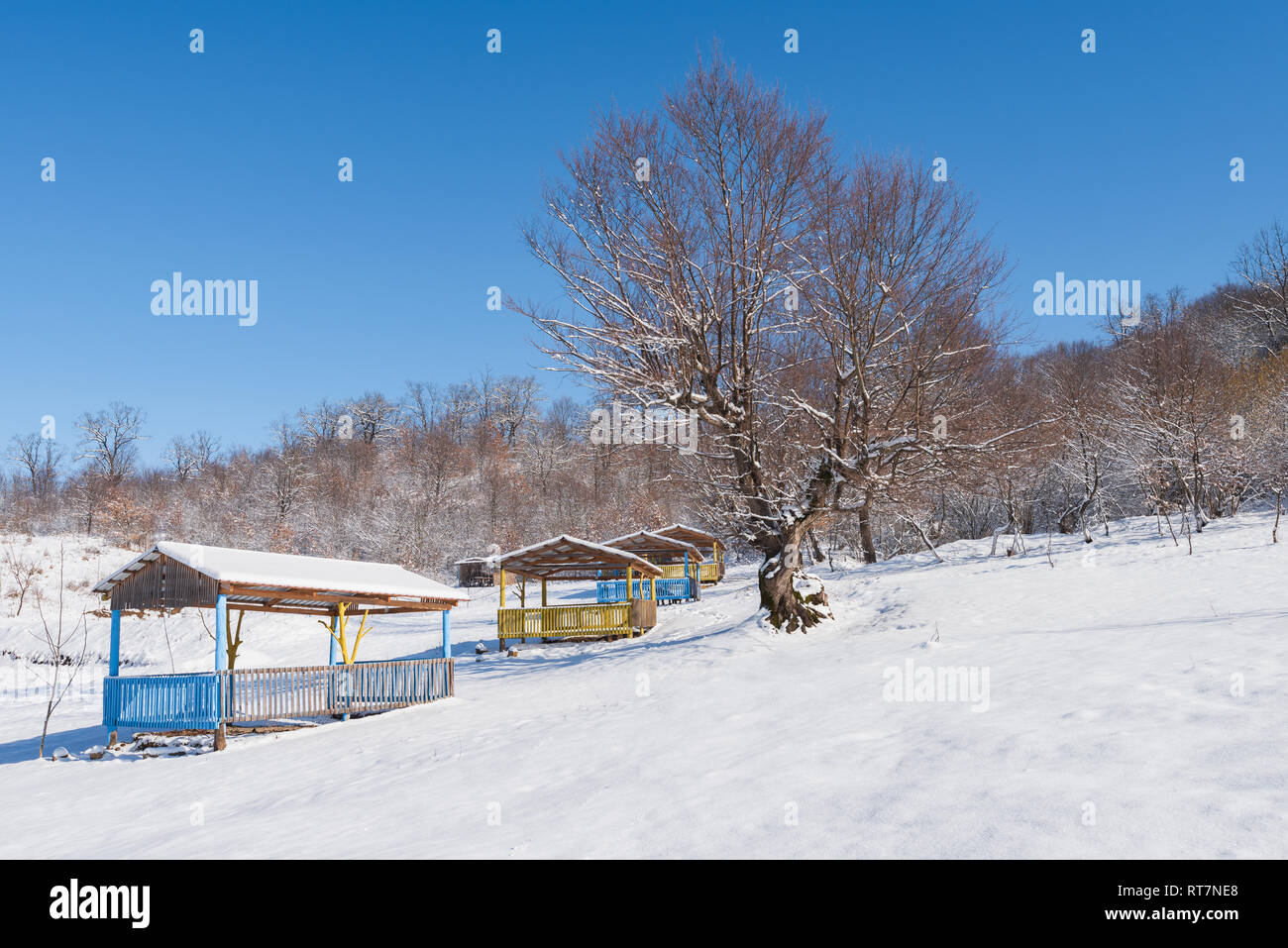 Pavillon für Entspannung im Wintergarten Stockfoto