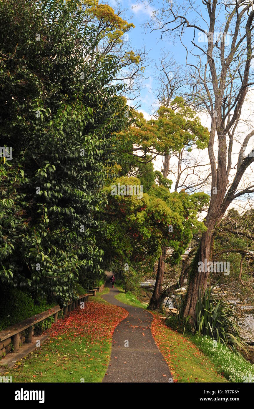 Wanderweg entlang des Flusses durch die Parklandschaft mit Bäumen und Patches der bunten Blätter auf frische grüne Gras. Stockfoto