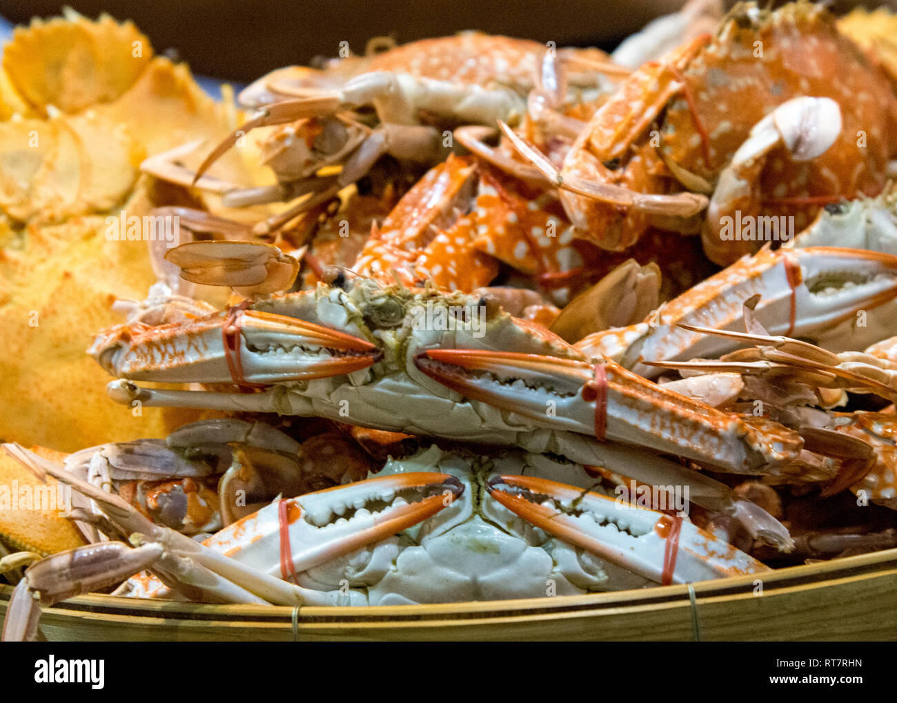 Closeup heißen Gedämpfte Krabben, gedämpfte Krabben Meeresfrüchte Stockfoto