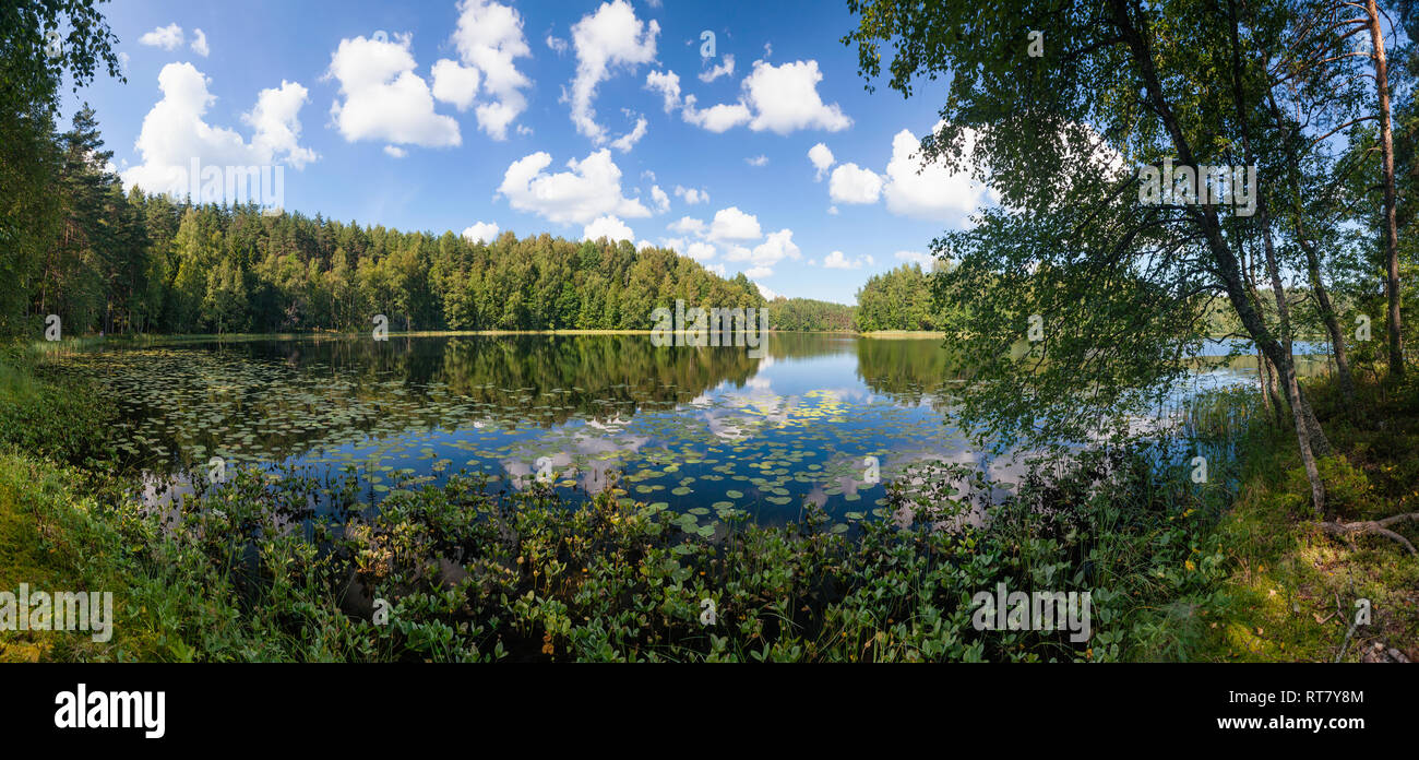 Blauer Himmel mit Wolken in ruhigem Wasser der Sommer See in einem borealen Wald widerspiegelt, Panoramablick mit Birken und Seerosen im Vordergrund Stockfoto