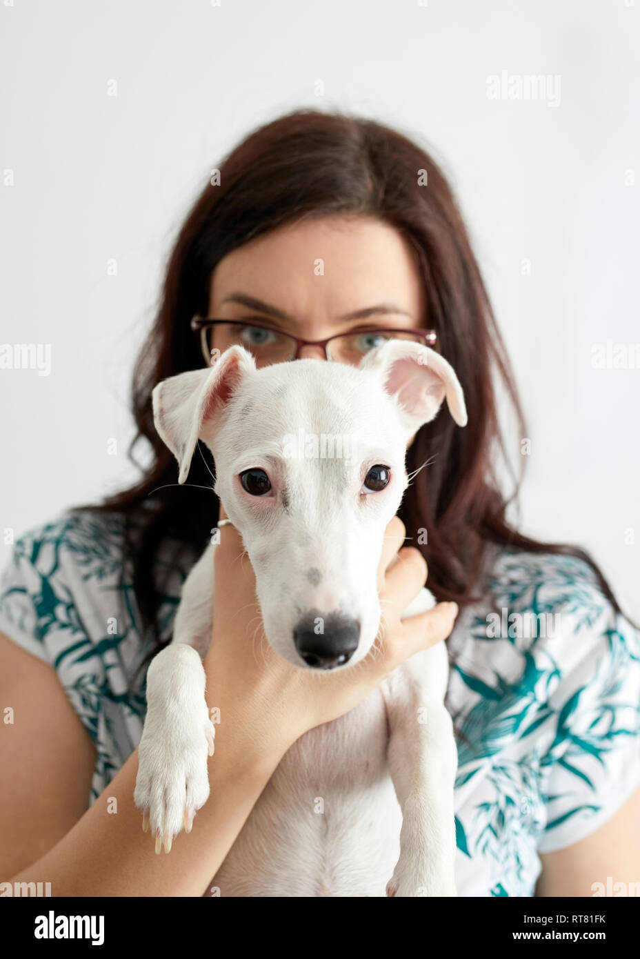 Portrait von weisser Hund mit dem Besitzer im Hintergrund Stockfoto