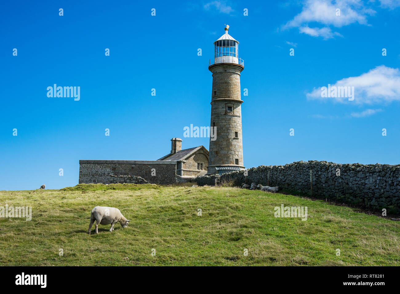 United Kingdom, England, Devon, Insel Lundy, Leuchtturm Stockfoto