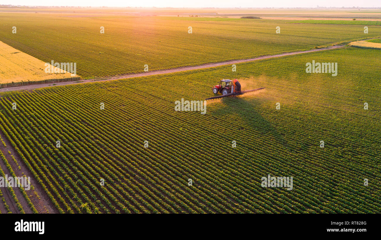 Serbien, Vojvodina, Luftaufnahme von einem Traktor spritzen Sojabohnen ernten Stockfoto