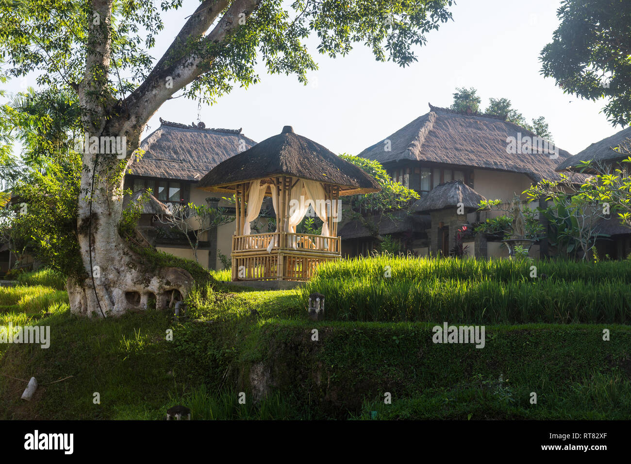 Indonesien, Bali, Ubud, Reisfeldern in der Kamandalu Ubud Resort Stockfoto