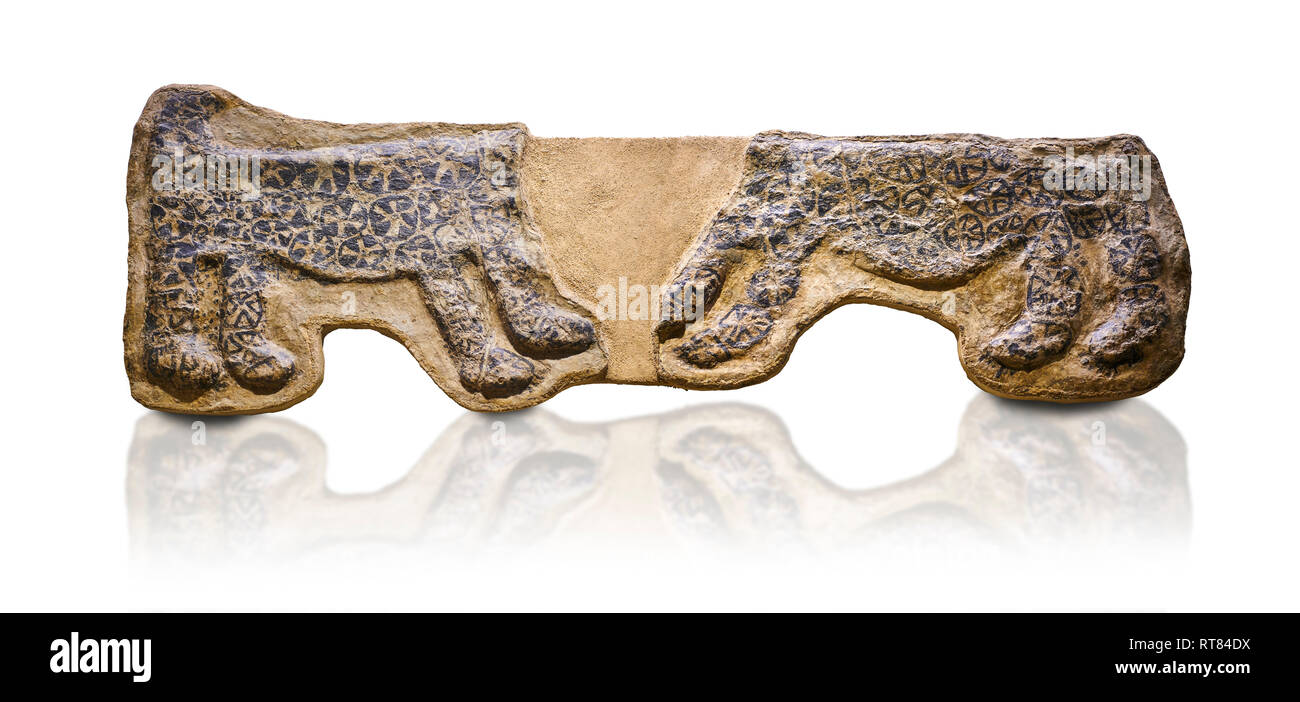 Porno joylarni almashtirdi