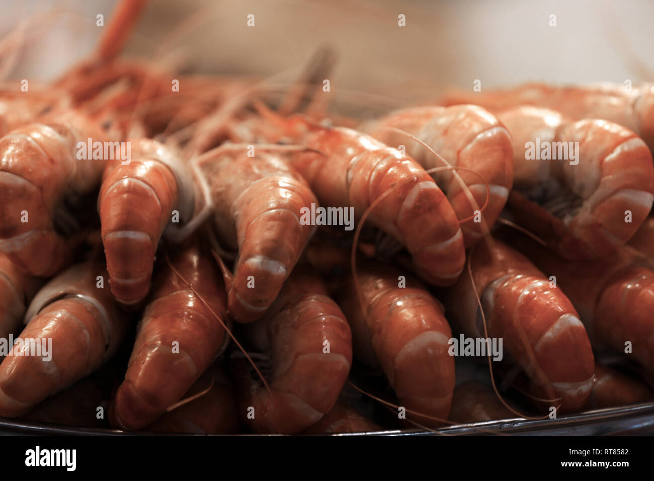 Gegrillte und gebratene Tintenfische Meeresfrüchte auf einem Markt in Asien Abschaltdruck Stockfoto