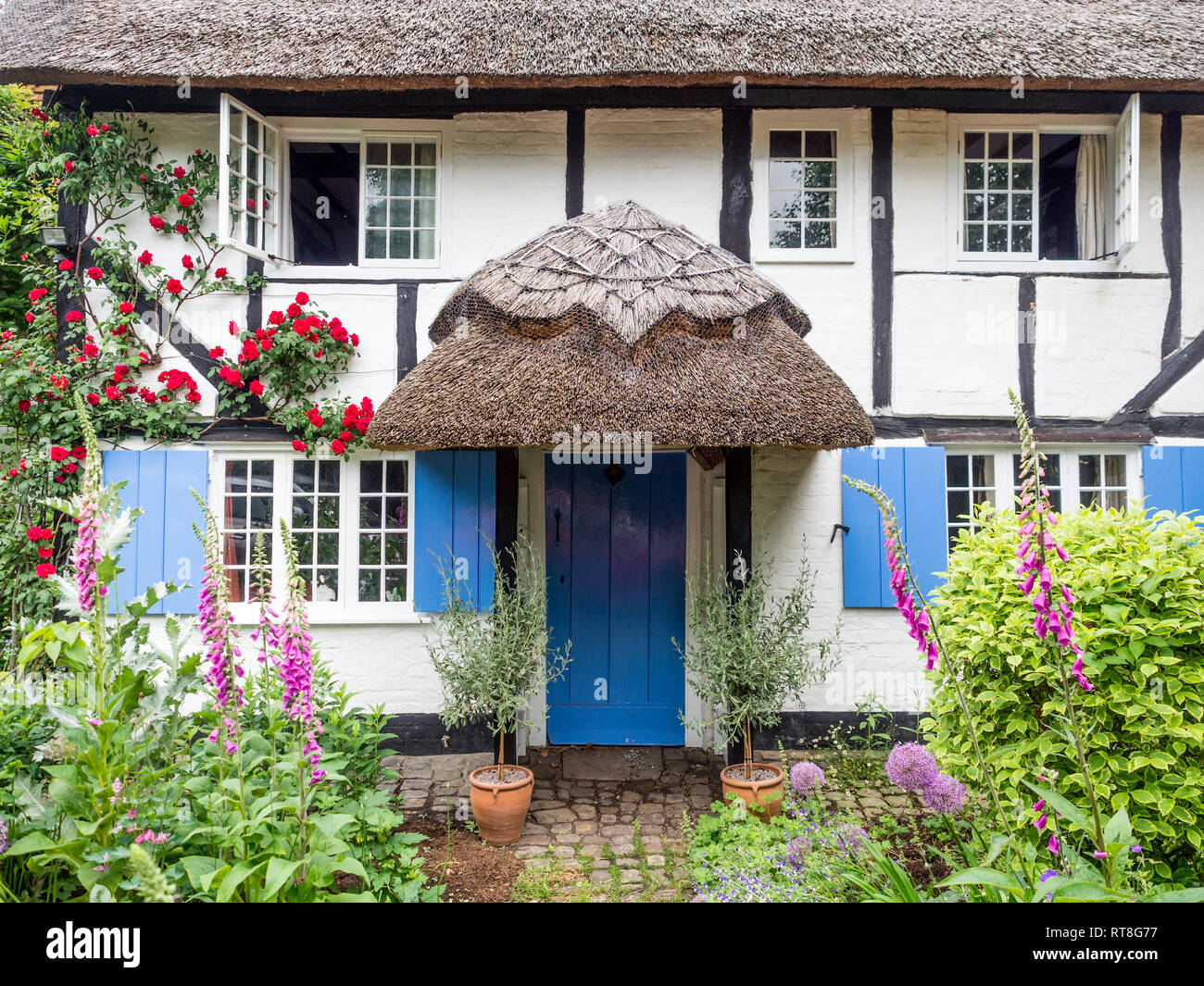 Eine fundamentale Chocolate Box Postkarte typischen reetgedeckten alten Tudor Jacobean Englisch Ferienhaus mit Garten in voller Blüte Stockfoto