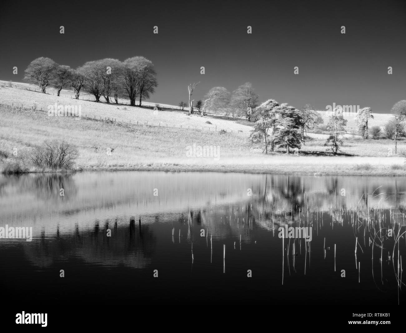 Ein IR-Bild von Waldergrave Pool Priddy Mineries in der Mendip Hills in Somerset, England. Stockfoto