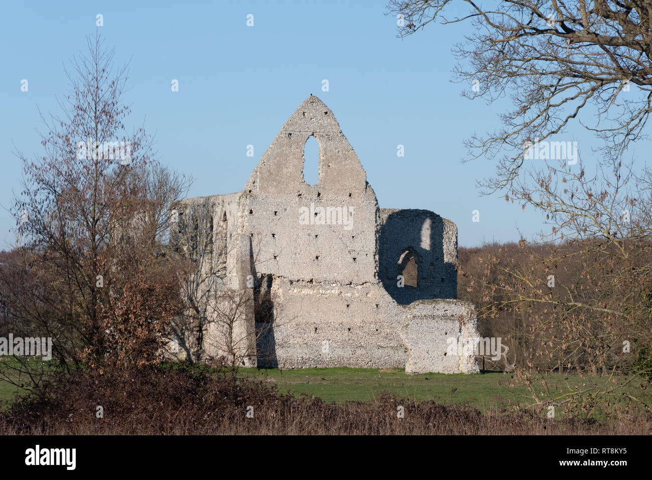 Die Ruinen von Newark Priorat, Surrey, Großbritannien, ein Grad 1 denkmalgeschützte Gebäude alte Denkmal auf dem English Heritage Register der Gebäude an der Gefahr Stockfoto