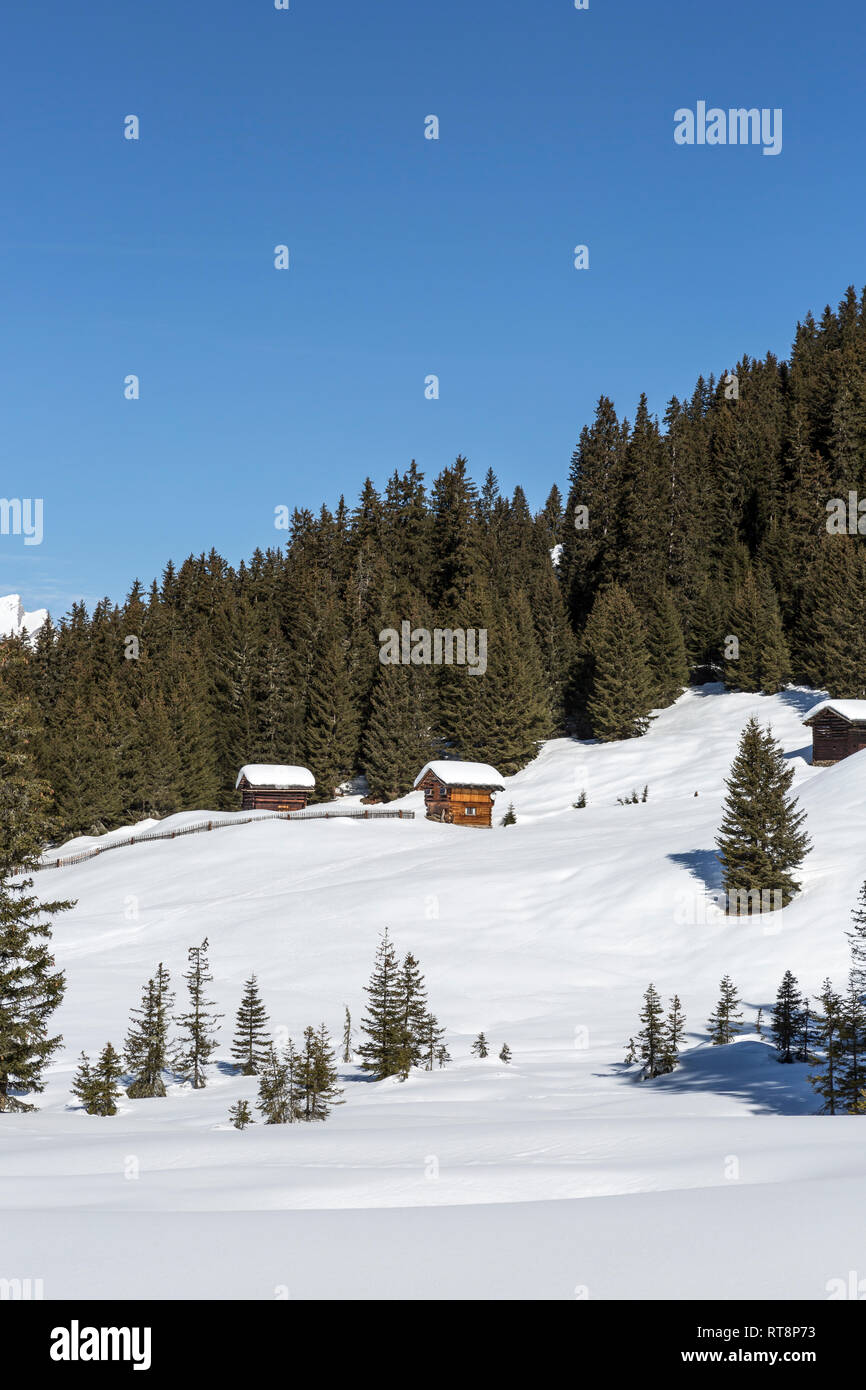 Winterlandschaft mit Holz Hütten im Wald, Skigebiet, Tirol, Österreich Stockfoto