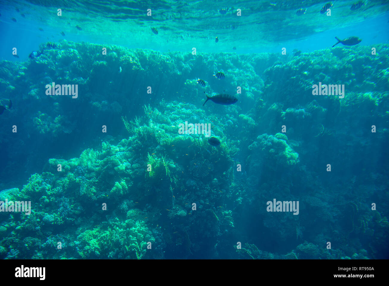 Abstrakte Aquatische tiefen Meeresgrund Unterwasser Hintergrund Stockfoto