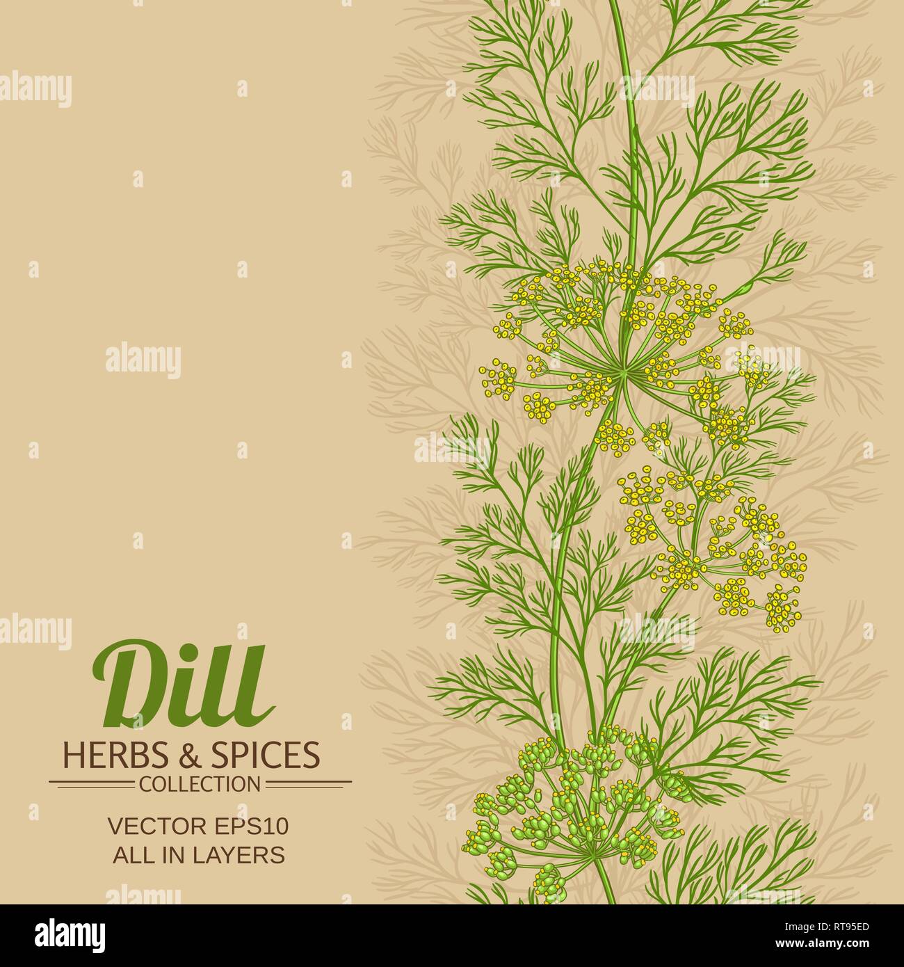 Dill vektor Muster auf farbigen Hintergrund Stock Vektor