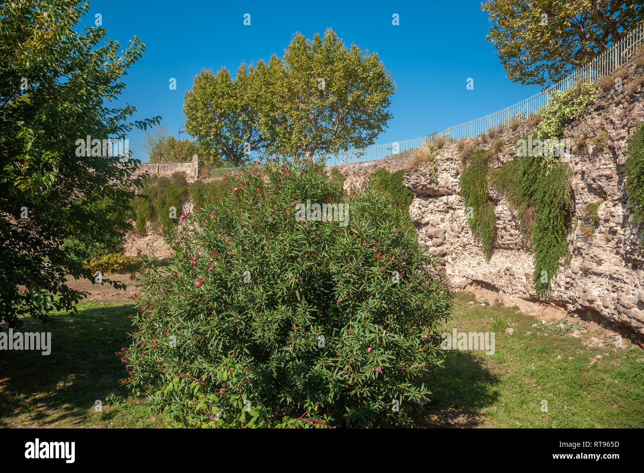 Historische Stadtmauer an der Porte des Gaules, Frejus, Var, Provence-Alpes-Cote d'Azur, Frankreich, Europa Stockfoto