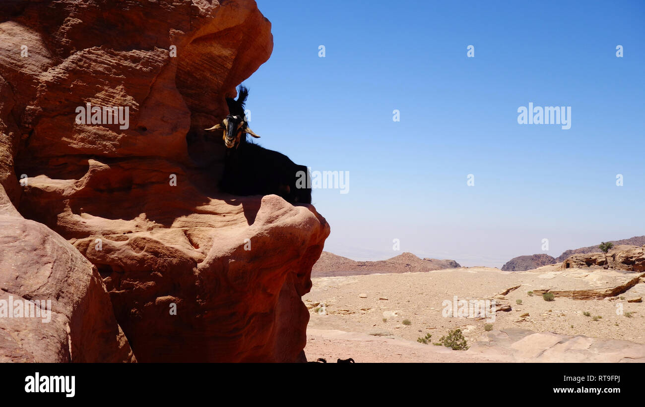 Petra in Jordanien, Cave City Stockfoto