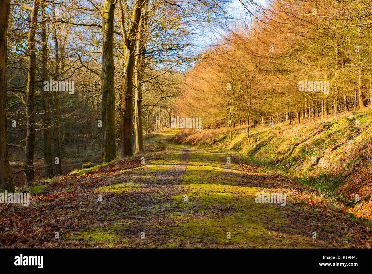 Ladybower Reservoir, Obere Derwent Valley, Derbyshire Stockfoto