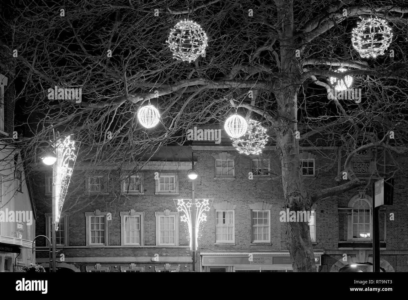 Weihnachtsbeleuchtung in der Ebene Bäume neben dem Markt stquare im St Neots Cambridgeshire England Stockfoto
