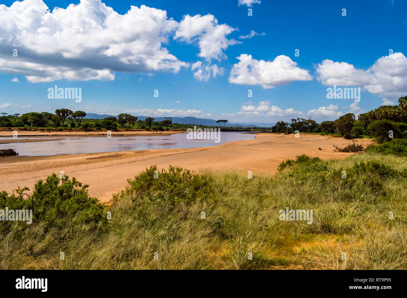 Ansicht des Ewaso Ng'iro Fluss in der Savanne von Samburu Park im Zentrum von Kenia Stockfoto