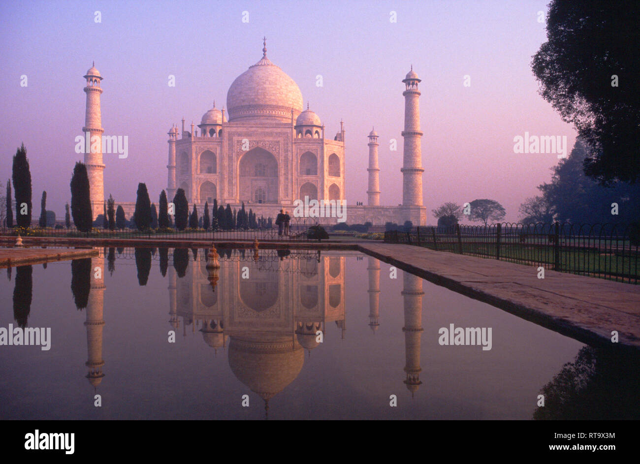 Verlassene Gärten, früh, Morgen, Frühling, Teiche, Pools, Reflexion, Taj Mahal, bei Sonnenaufgang auf der Yamuna, Jamuna, Fluss Agra, Indien, Stockfoto