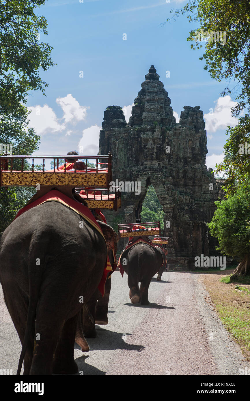 Elefanten auf dem Weg zum Prasat Bayon, Angkor Thom, Siem Reap, Kambodscha Stockfoto