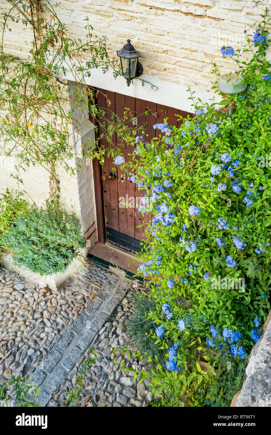 Tür von Pflanzen in der Altstadt von Granada Andalusien Spanien gerahmt Stockfoto