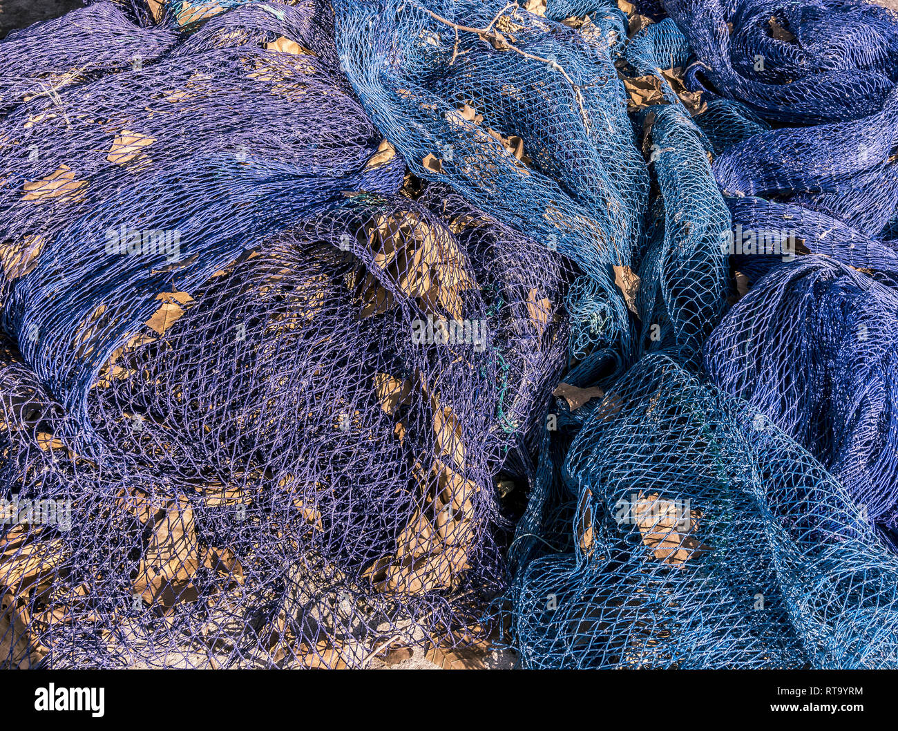 Blau Fischernetze in einen Heap mit alten Blätter im Herbst an einem sonnigen Wintertag in Mallorca, Spanien. Stockfoto