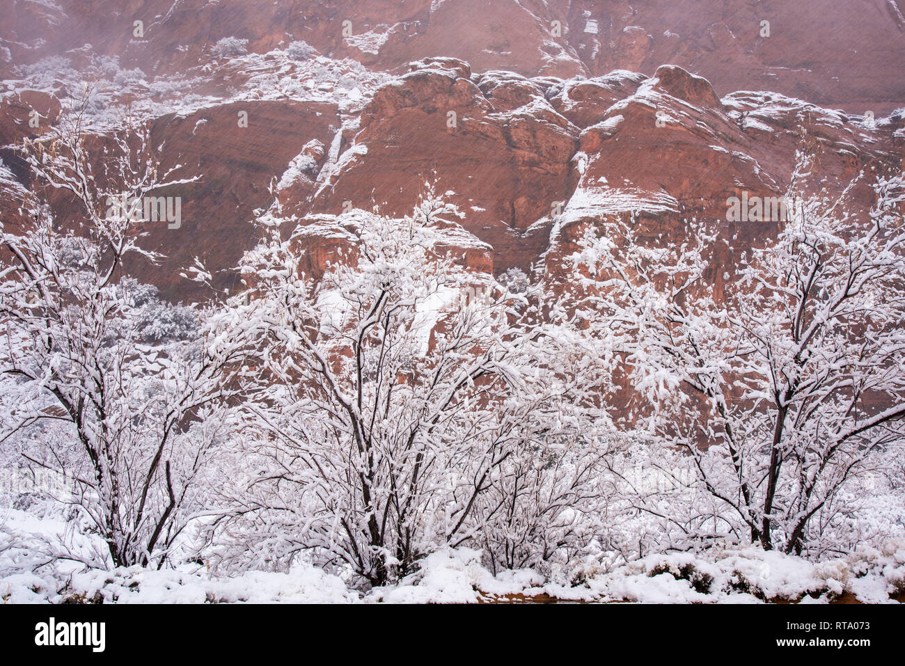 Schnee in der Wüste Land. Stockfoto