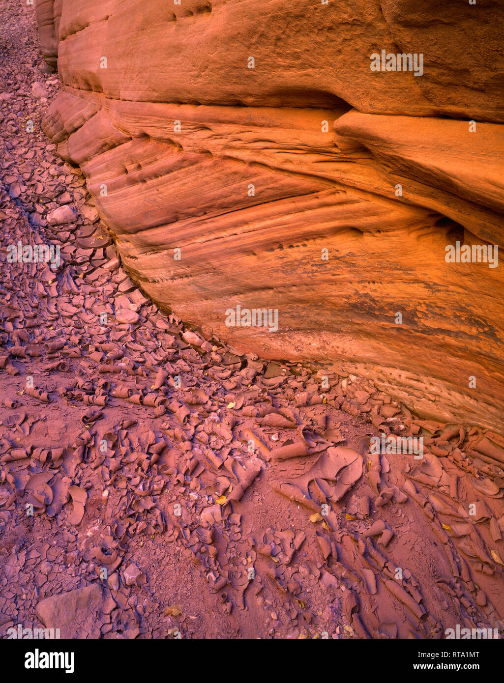 USA, arizona-utah Grenze, Vermilion Cliffs National Monument, Sandstein zeigt Details von Erosion oben getrocknet, rissig Schlamm in Buckskin Gulch. Stockfoto