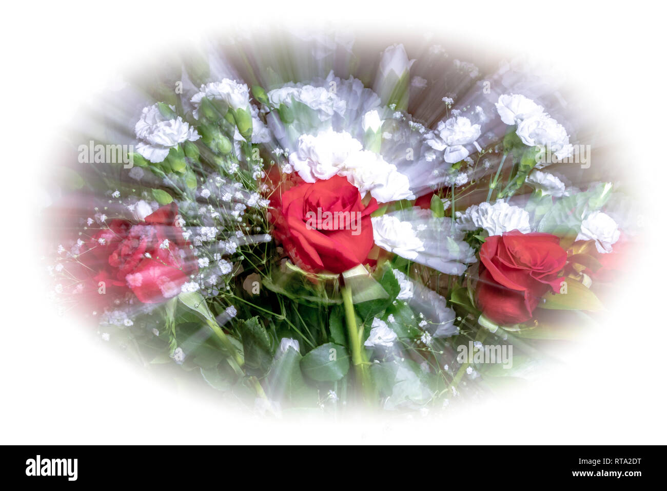 Rote Rosen, weißen Nelken mit Baby's Atem gezoomt und weißen Vignette Stockfoto